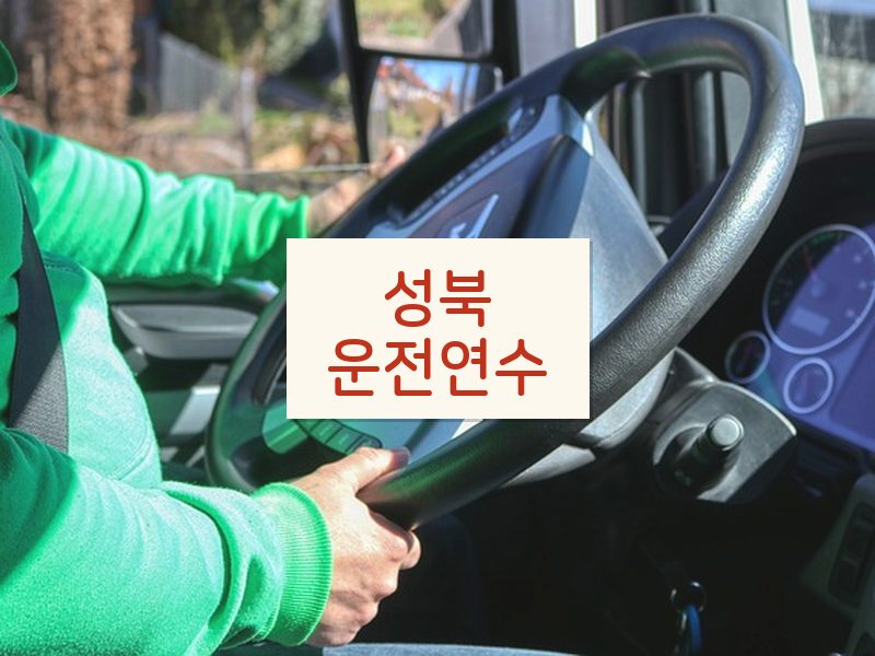 성북운전연수 후기