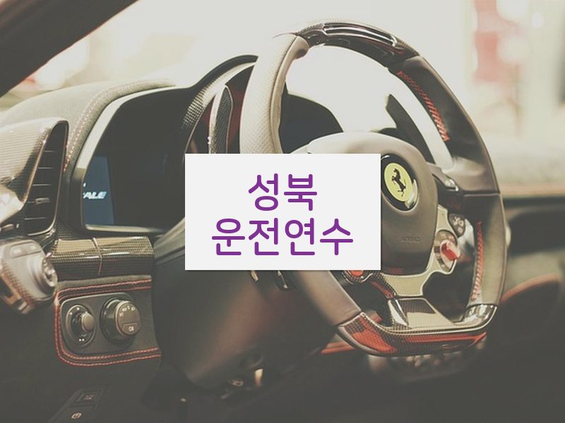 성북운전연수 후기