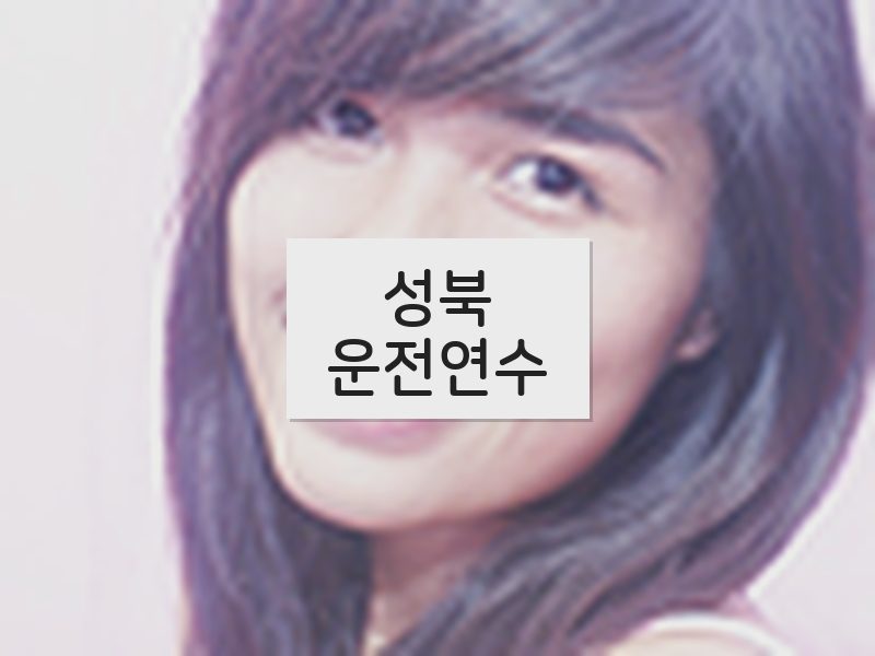성북운전연수 후기