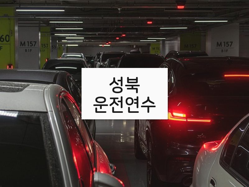 성북운전연수 후기