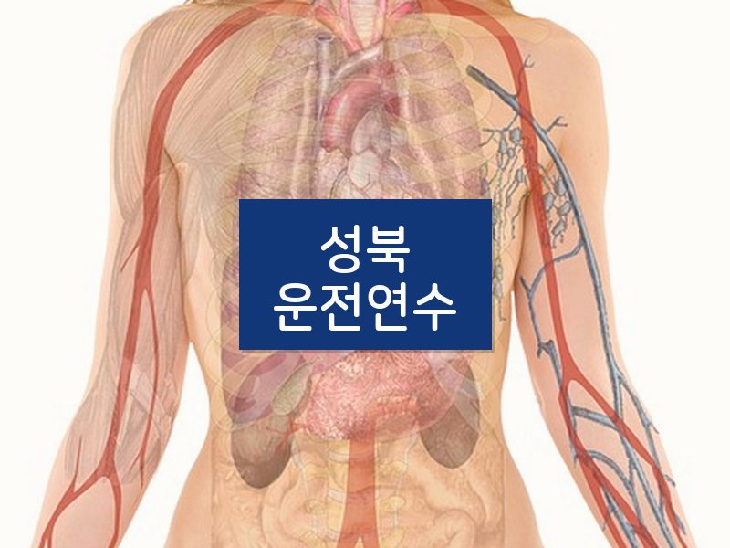 성북운전연수 후기