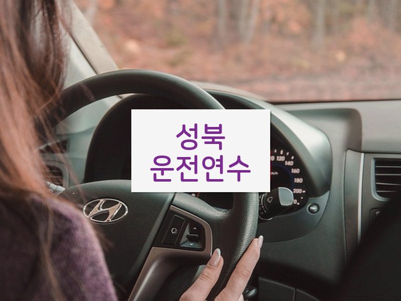 성북운전연수 후기