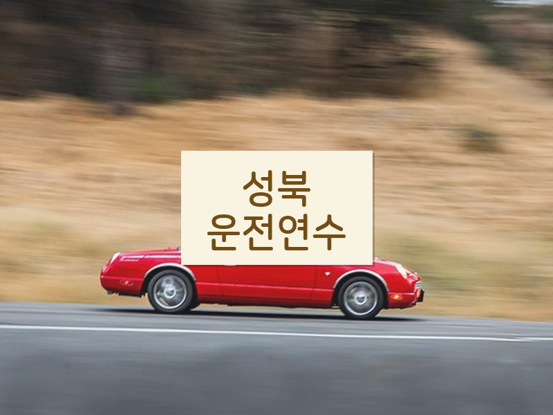 성북운전연수 후기