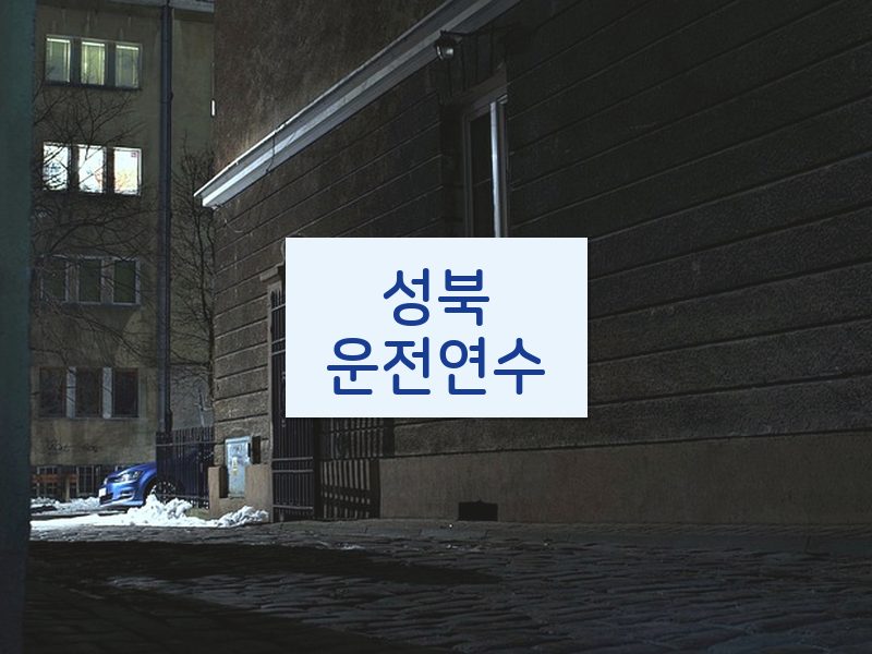 성북운전연수 후기