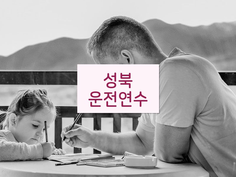 성북운전연수 후기