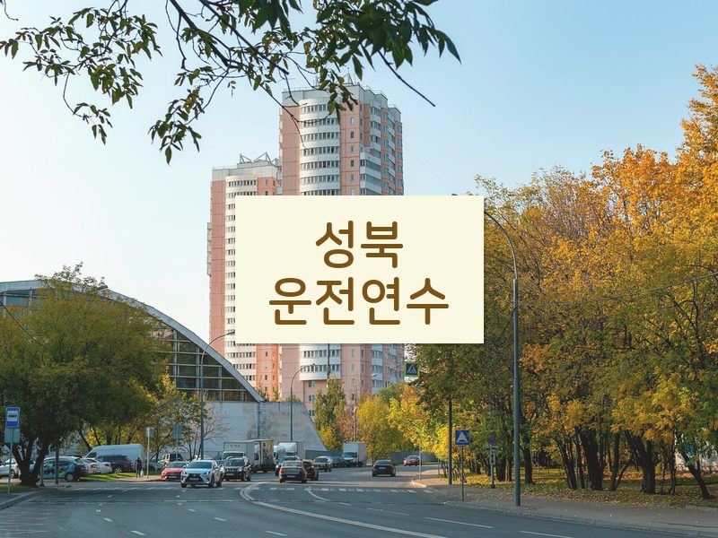성북운전연수 후기