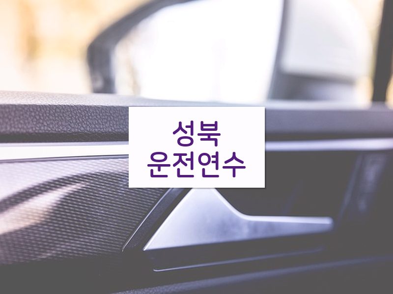 성북운전연수 후기
