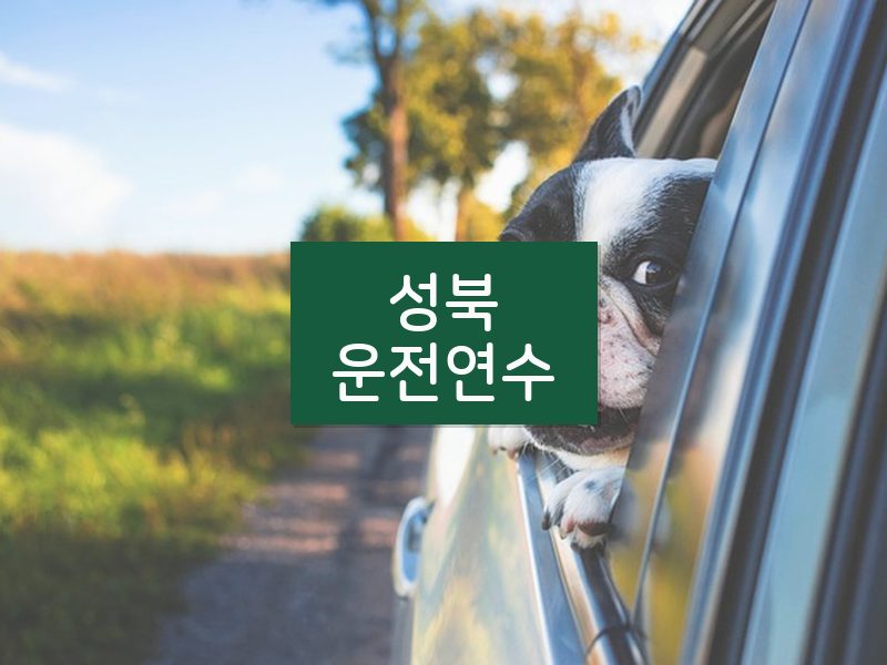 성북운전연수 후기