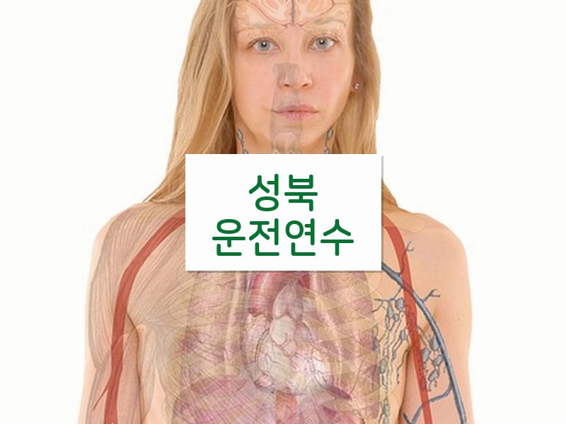 성북운전연수 후기