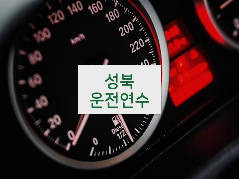 성북운전연수 후기
