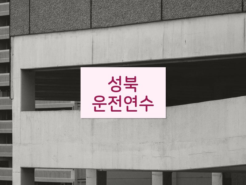 성북운전연수 후기