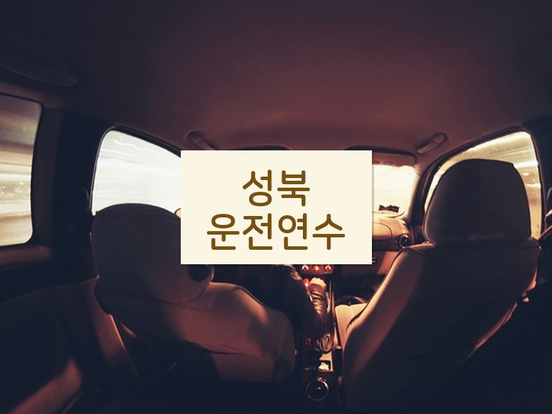 성북운전연수 후기