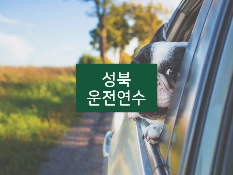 성북운전연수 후기