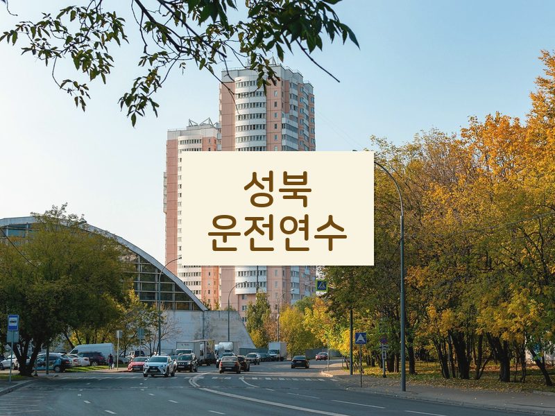 성북운전연수 후기