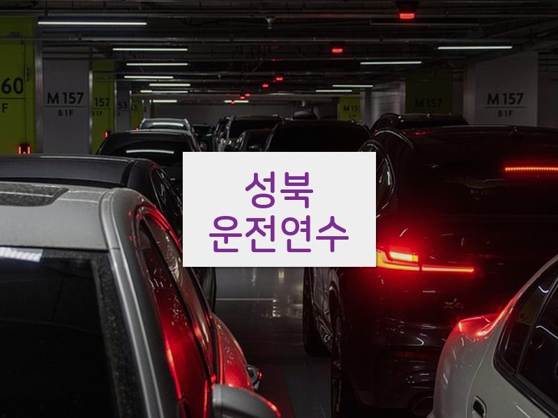 성북운전연수 후기