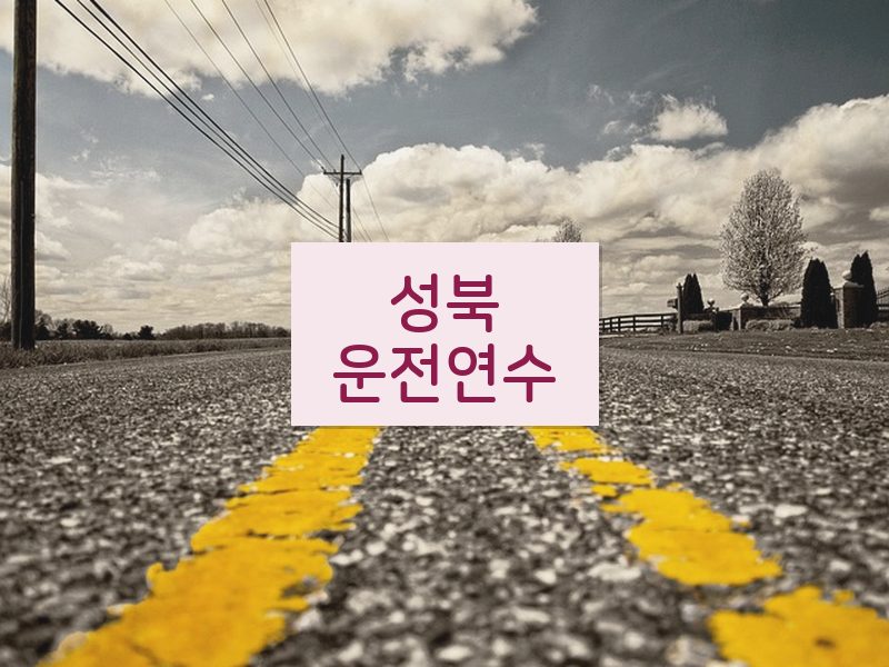 성북운전연수 후기