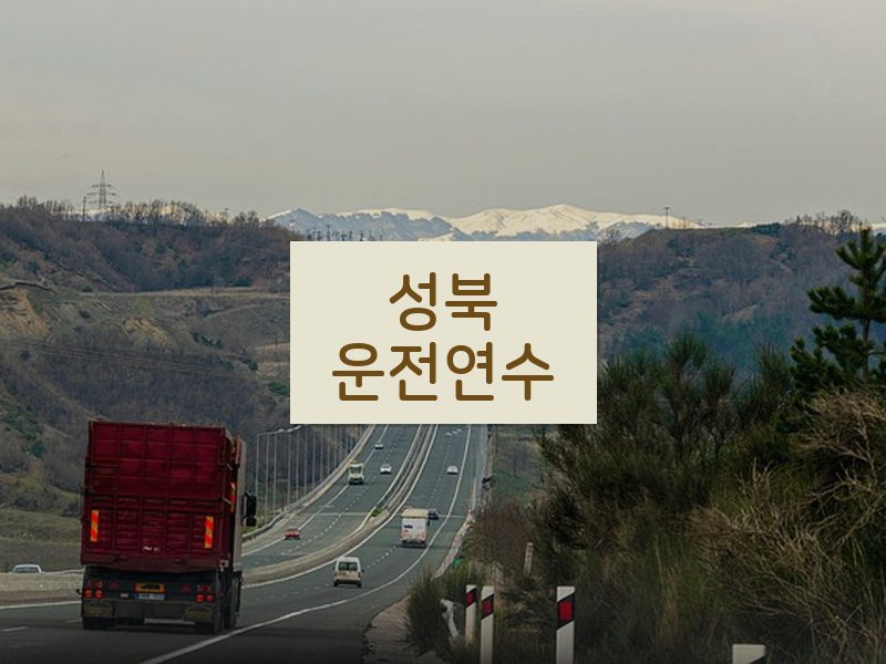 성북운전연수 후기