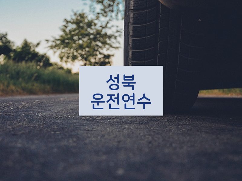 성북운전연수 후기
