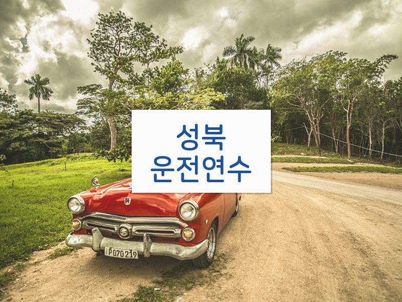 성북운전연수 후기