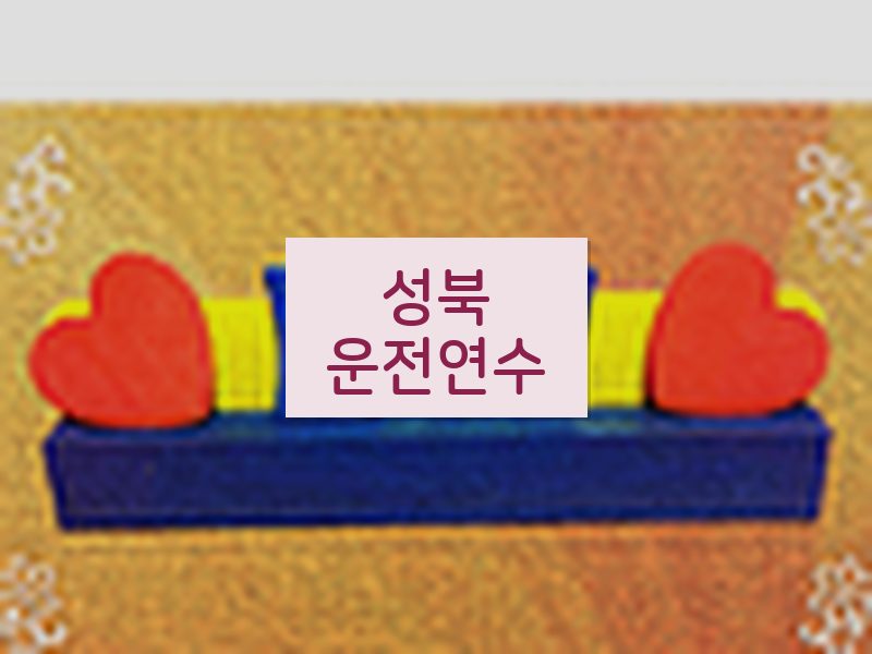 성북운전연수 후기