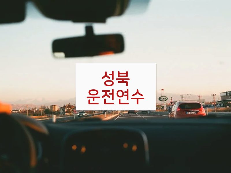 성북운전연수 후기