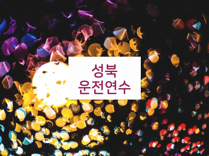 성북운전연수 후기