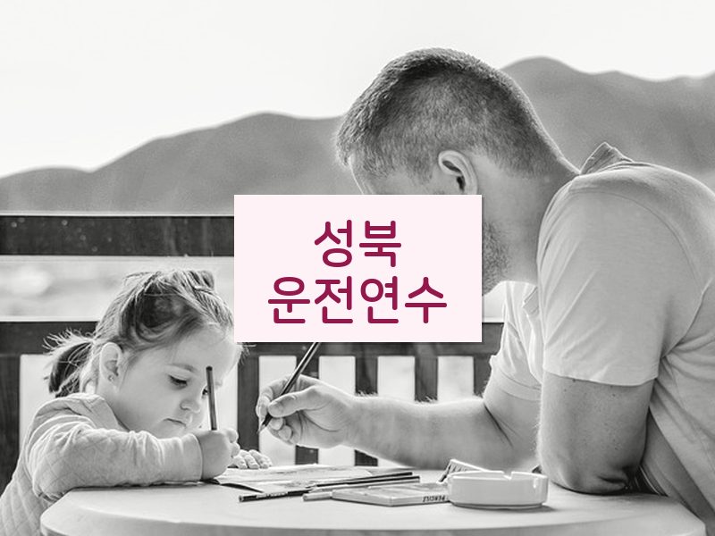 성북운전연수 후기
