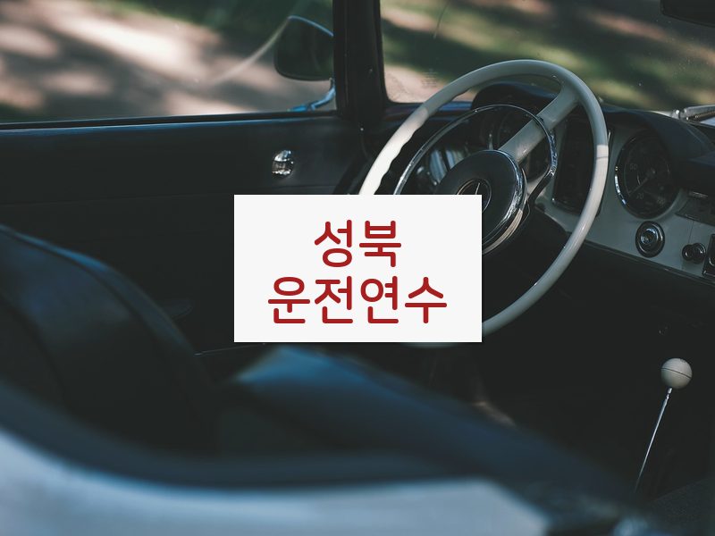 성북운전연수 후기