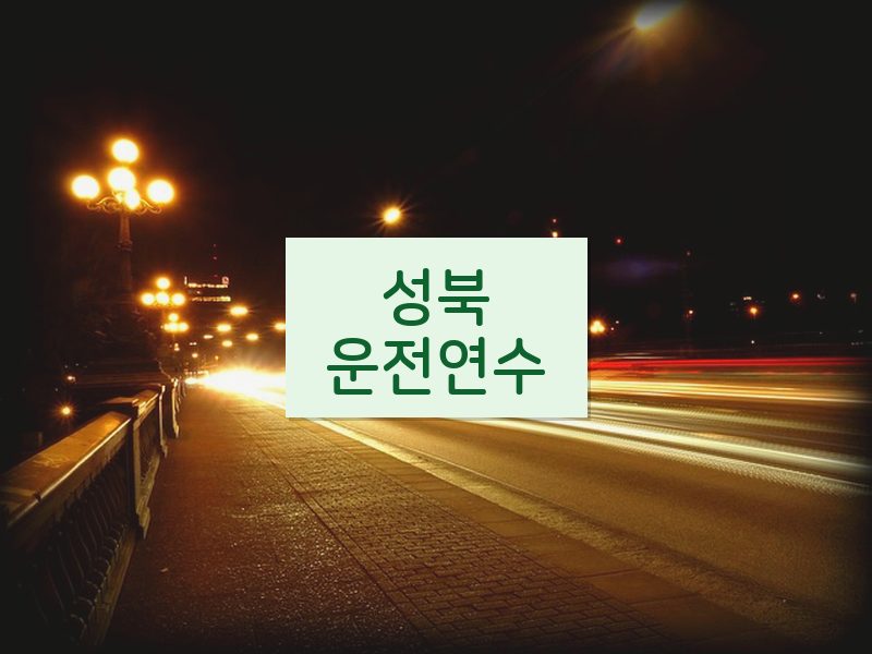 성북운전연수 후기