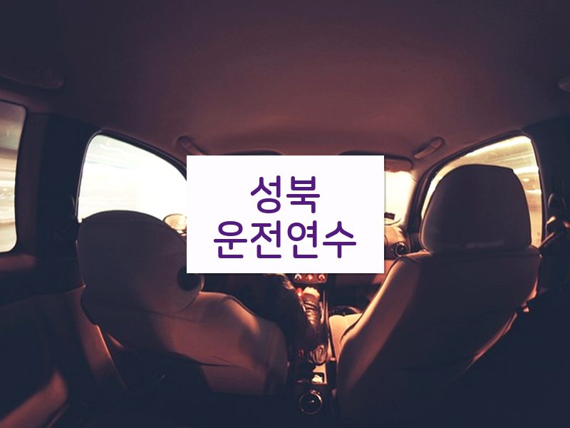 성북운전연수 후기