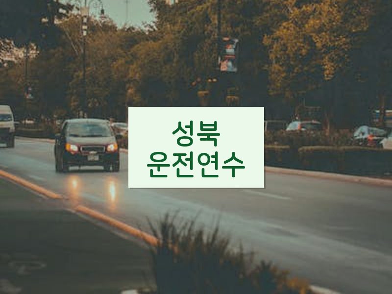 성북운전연수 후기