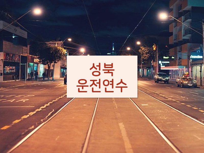 성북운전연수 후기