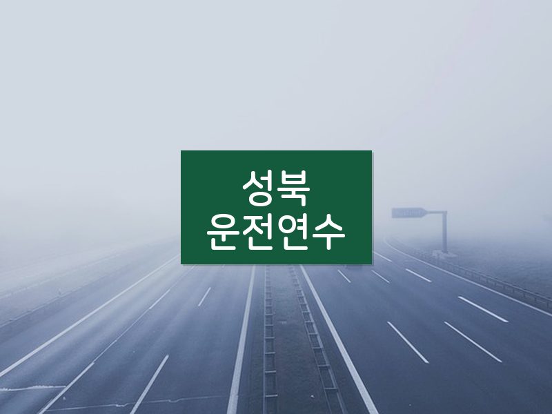 성북운전연수 후기