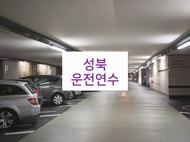 성북운전연수 후기