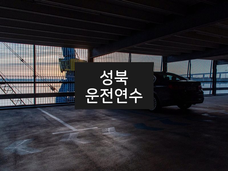 성북운전연수 후기