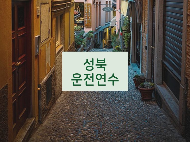 성북운전연수 후기