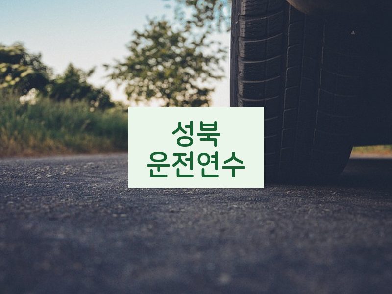 성북운전연수 후기