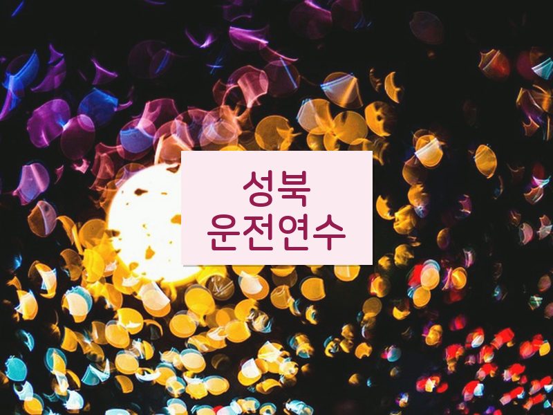 성북운전연수 후기