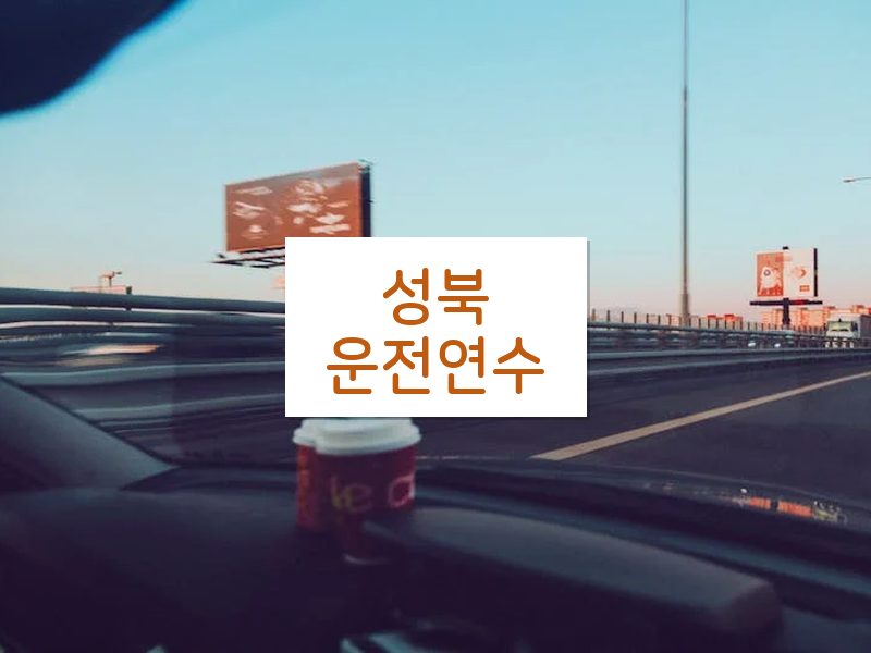성북운전연수 후기
