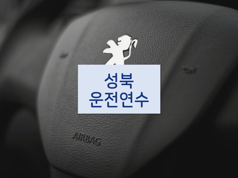 성북운전연수 후기