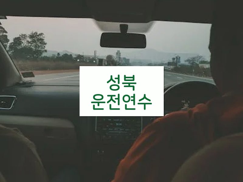성북운전연수 후기