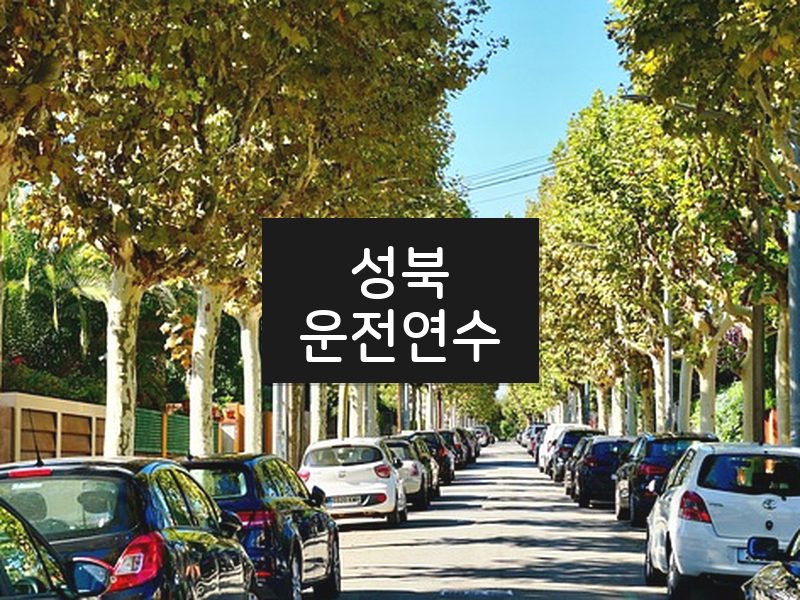 성북운전연수 후기