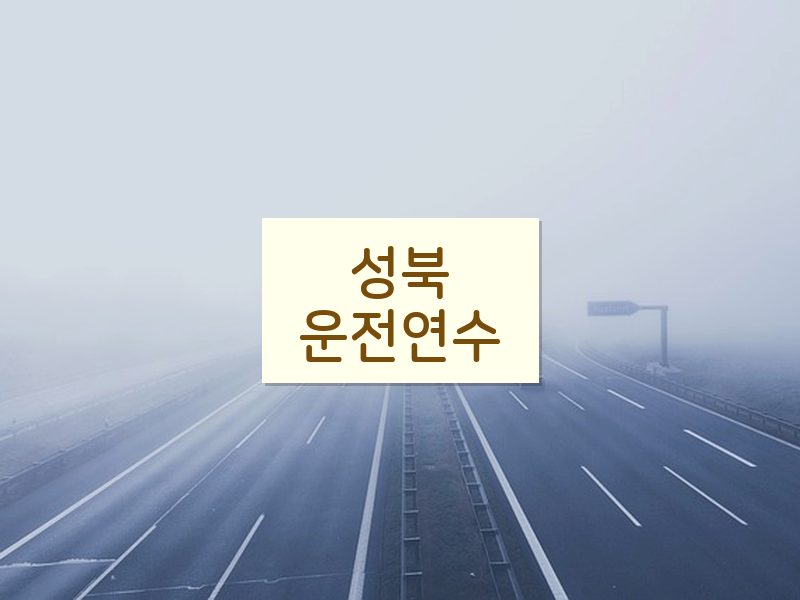 성북운전연수 후기