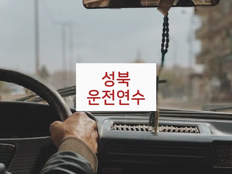 성북운전연수 후기