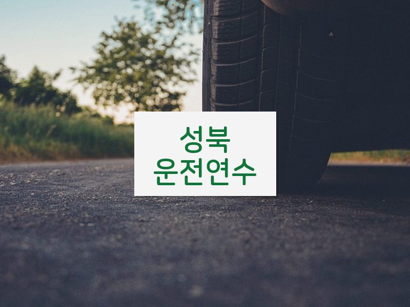 성북운전연수 후기