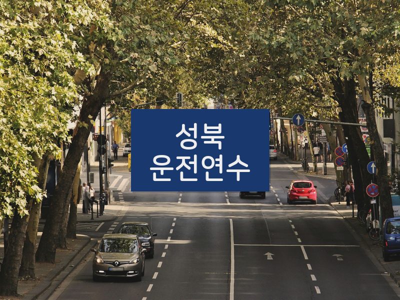 성북운전연수 후기