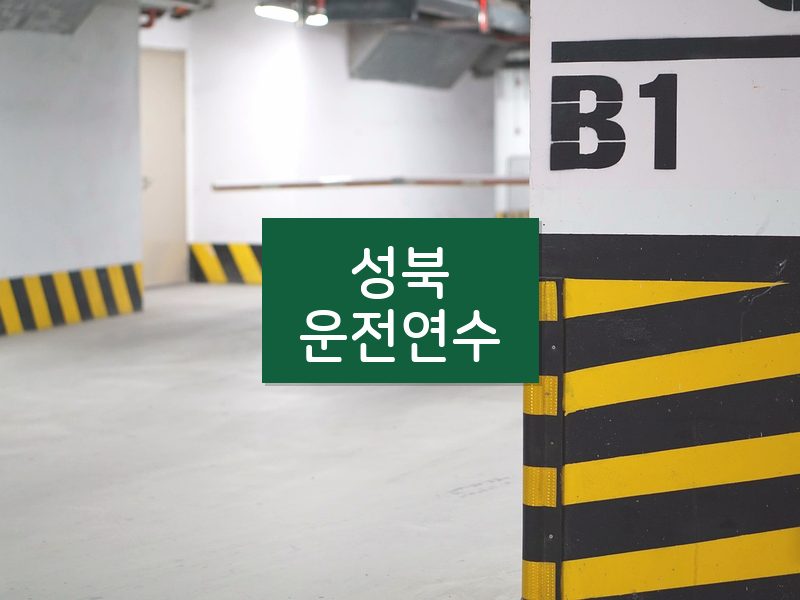 성북운전연수 후기