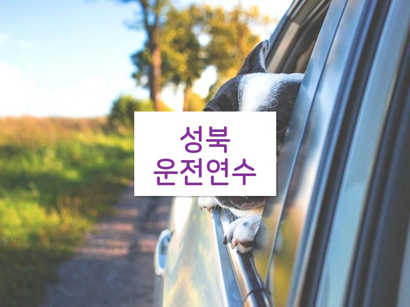 성북운전연수 후기