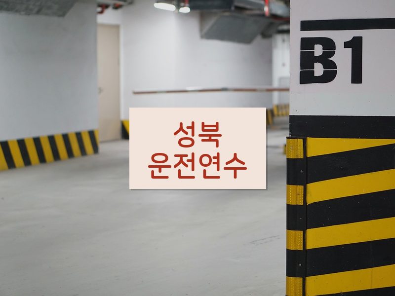 성북운전연수 후기