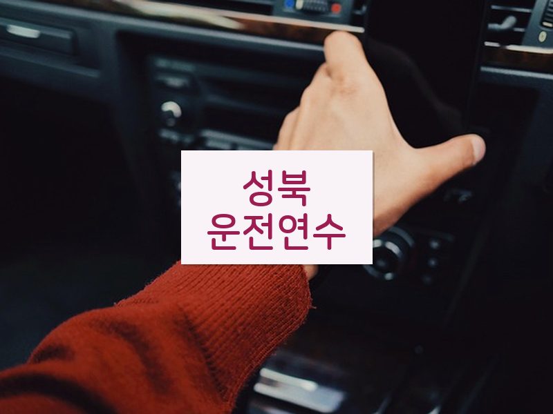 성북운전연수 후기